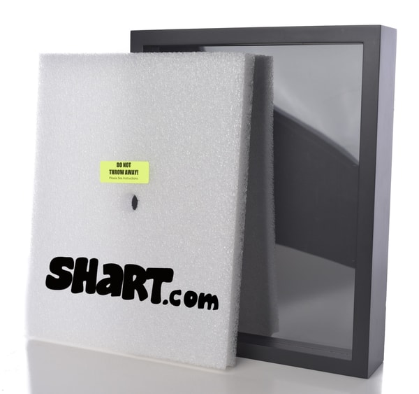 Shart.com Original T-Shirt Frame Review