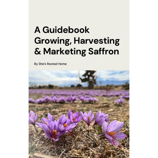 She's Rooted Home Saffron Growing Guidebook Review