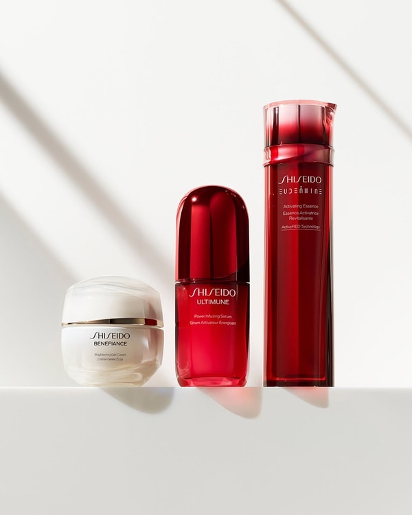 Resumen de SHISEIDO
