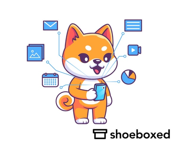 Overview of shoeboxed