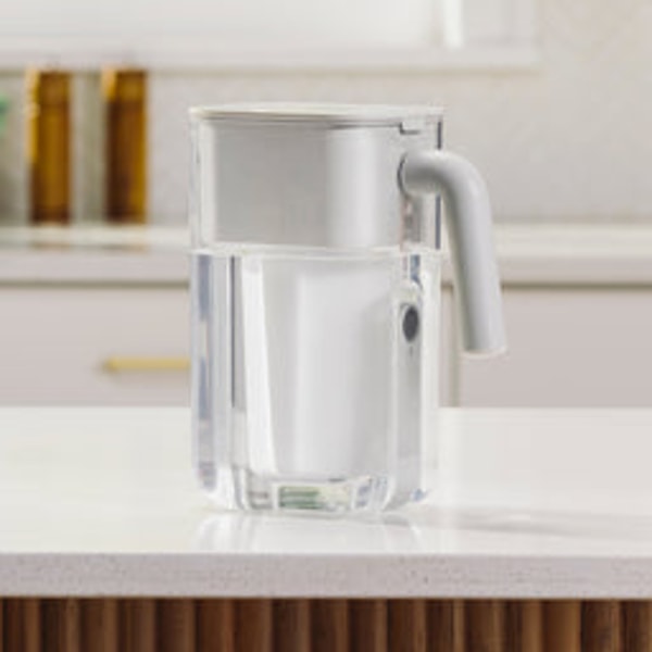 Shop Culligan 10 Cup Pitcher Review
