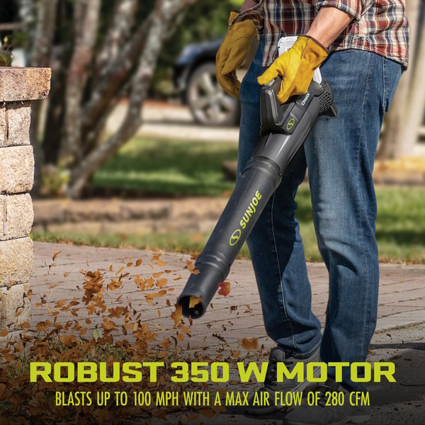 Sun Joe 24-Volt IONMAX Cordless Compact Turbine Jet Blower Review