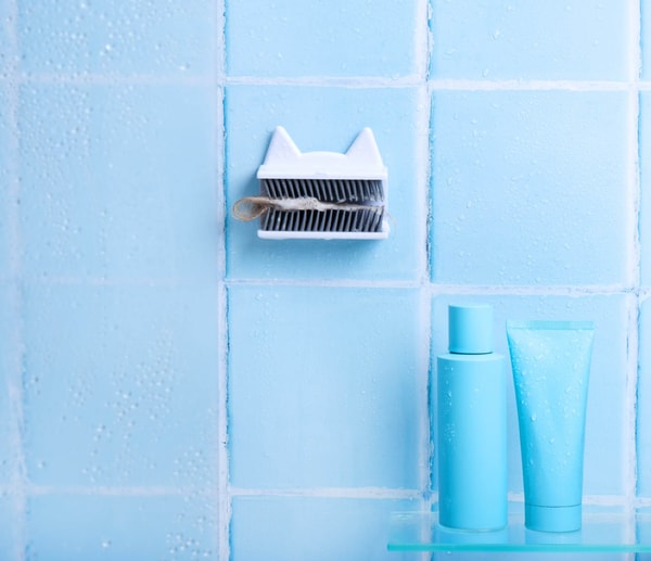 About Shower Cat