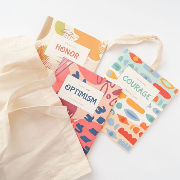 Silk and Sonder Kids Subscription Review