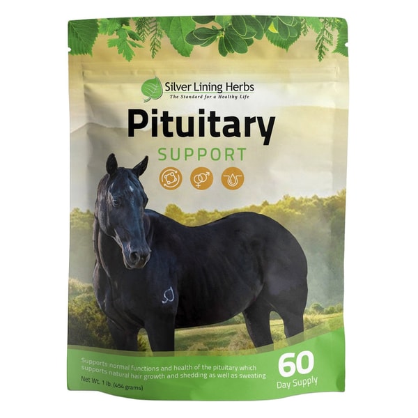 Silver Lining Herbs Pituitary Support Review