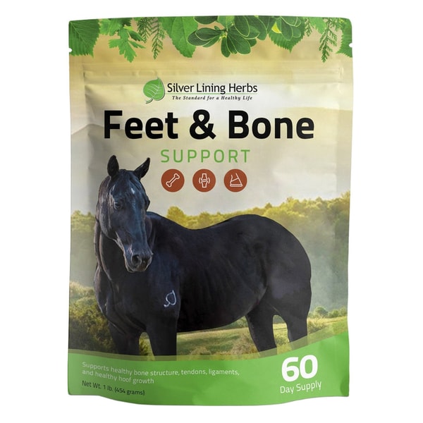 Silver Lining Herbs Feet & Bone Support Review