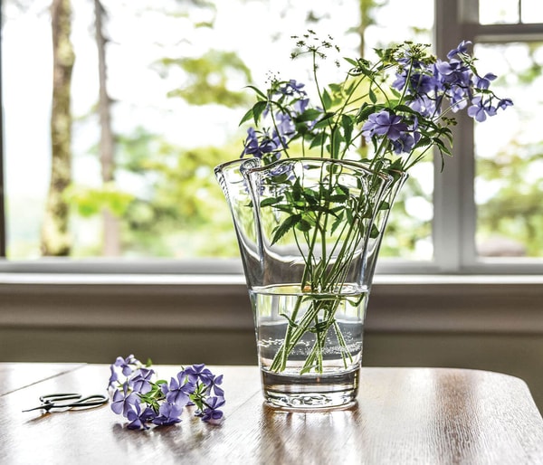 Simon Pearce Anemone Vase Review