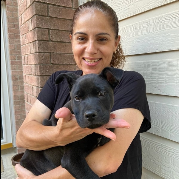 Sittercity Pet Care Services Review