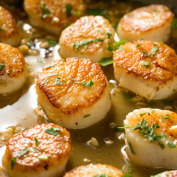 Sizzlefish Wild Atlantic Sea Scallops Review