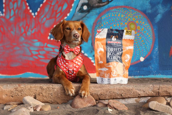 Skipper's Pet Products Review