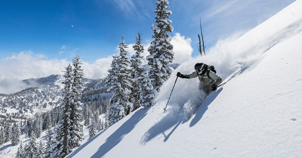 About Skis.com