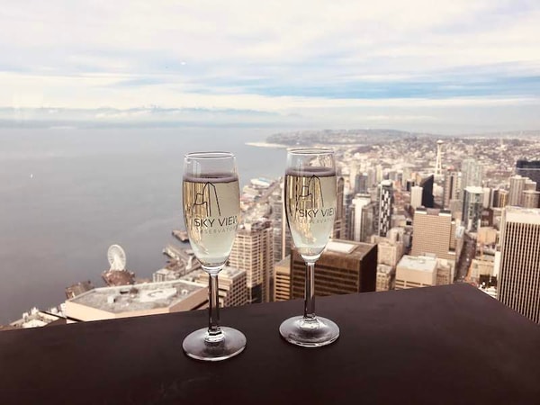 Sky View Observatory Service Review