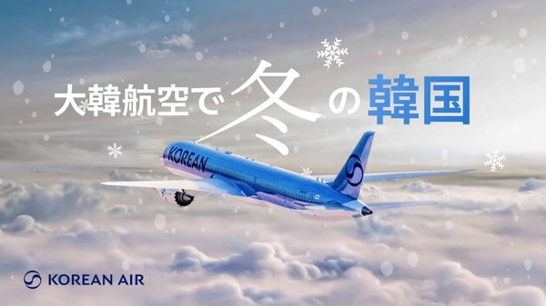 Skyticket レビュー
