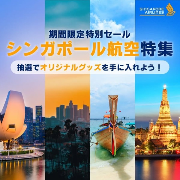 Skyticketについて