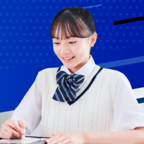 Smile Zemi Junior High School Course レビュー