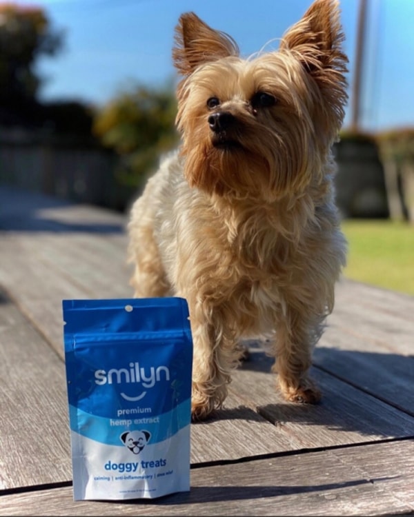 Is Smilyn Wellness Legit?