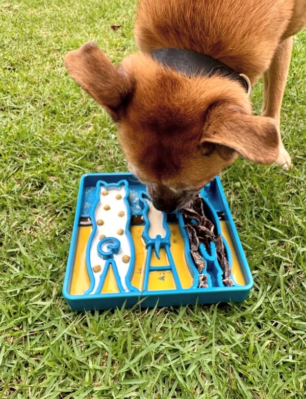 Soda Pup Review