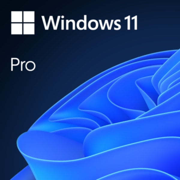 Software Kings Windows 11 Pro Review
