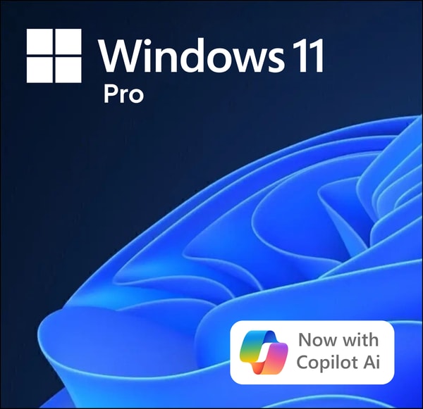 SoftwareDeals Microsoft Windows 11 Professional Review