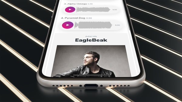 Songbox Pro Plan Review