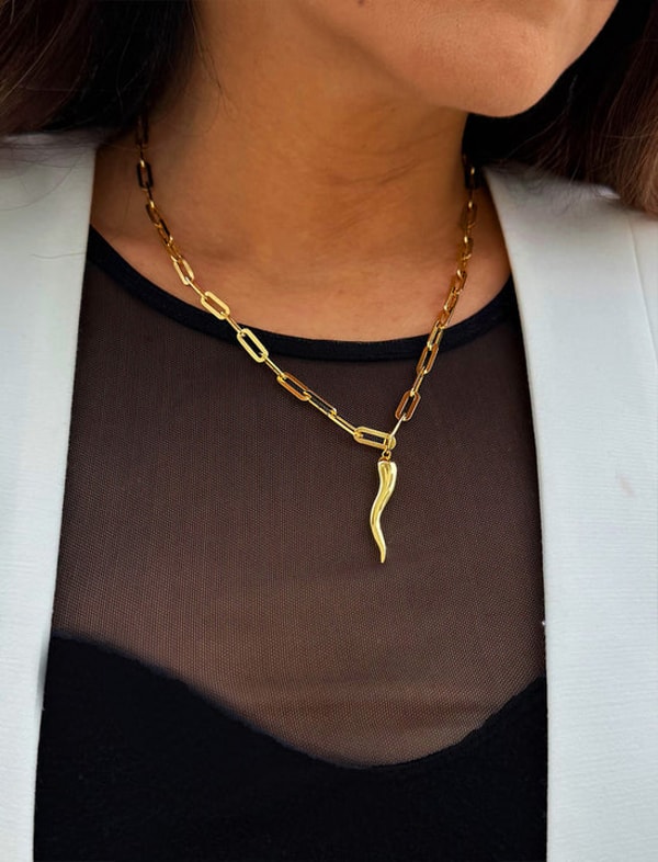 SONIA HOU Italian Horn Necklace Review