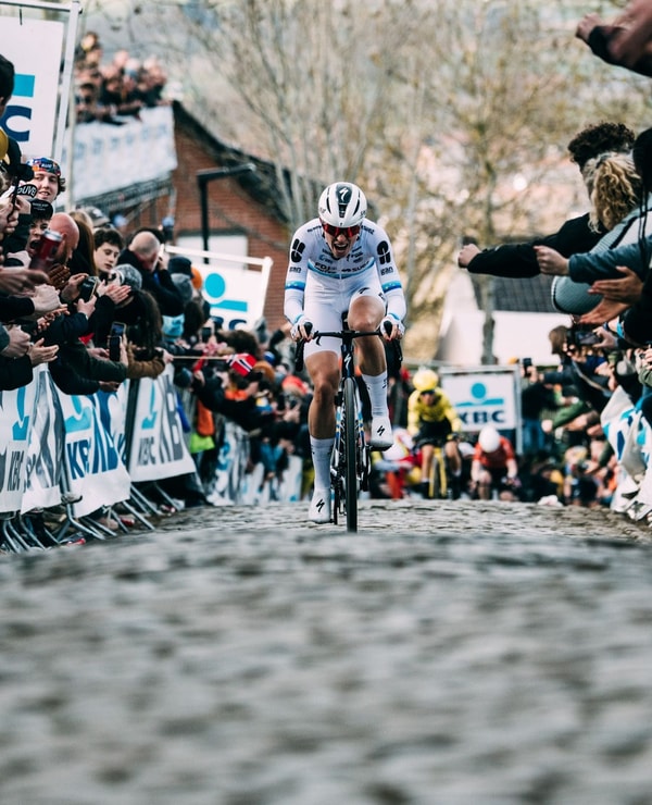About Specialized