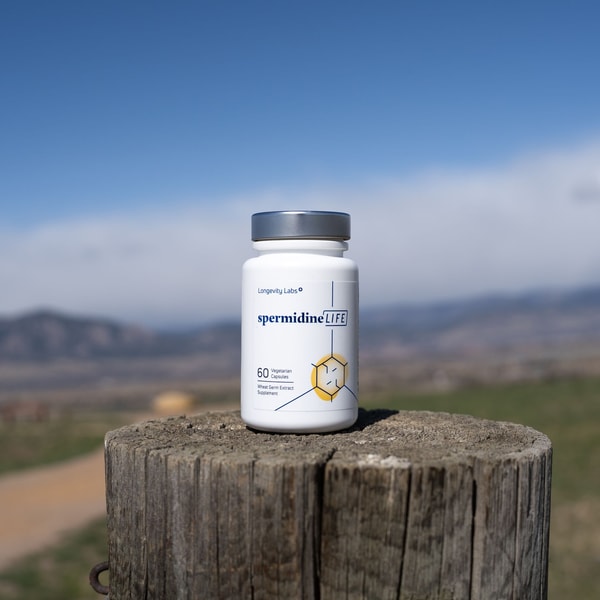 spermidineLIFE Review