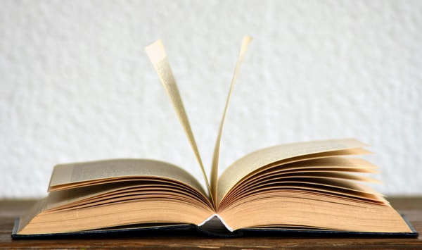 Wissenschaftliche Inhalte Zug&auml;nglich Machen