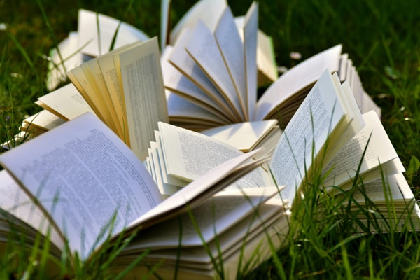 Springer Nature Link Bewertung