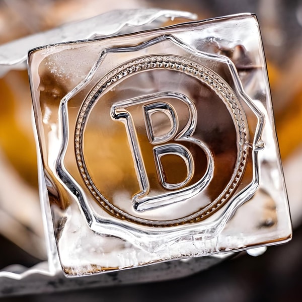 Stamprints Custom Ice Stamp and Bar Branding Tools Review