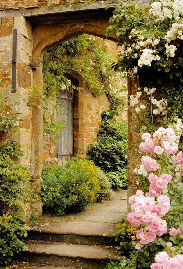 Starbackdrops Old Stone Door Pink Flowers Review