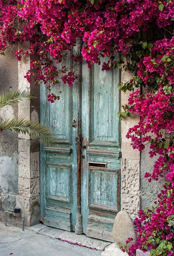 Starbackdrops Vintage Wood Door Pink Flowers Review