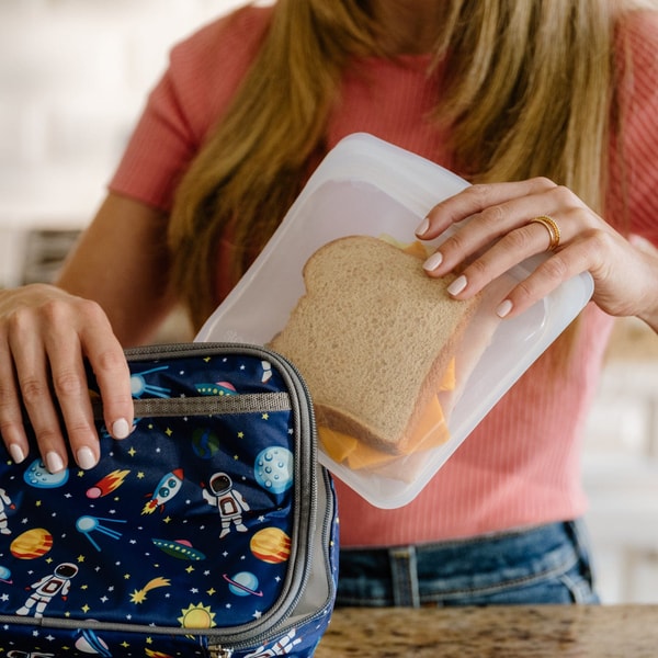 Stasher Reusable Silicone Sandwich Bag Review