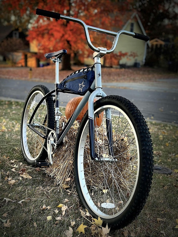 State Bicycle Review