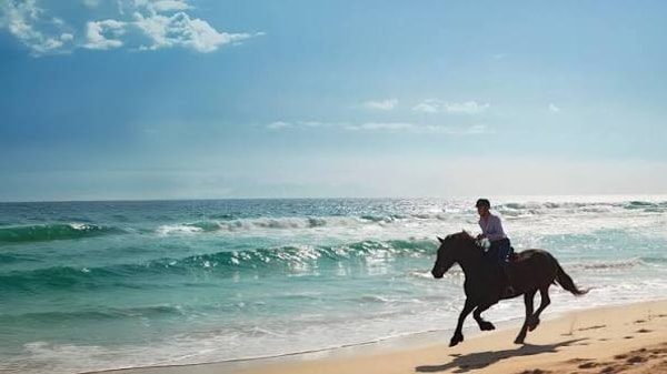 StaySure Signature Travel Insurance Review