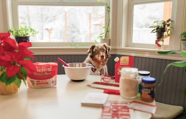 Stella & Chewy's Review