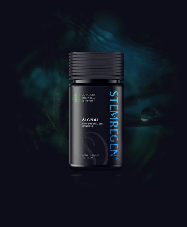 Stemregen Signal Review