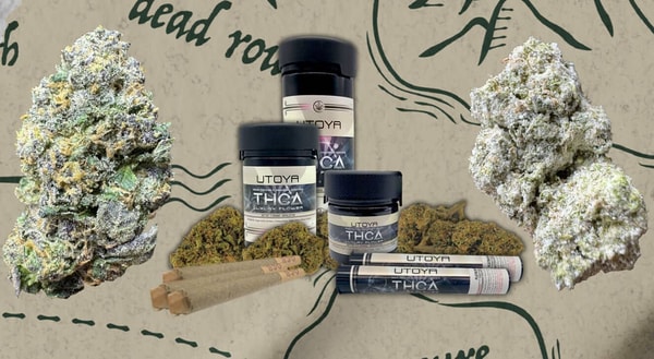 Stoner Box Review