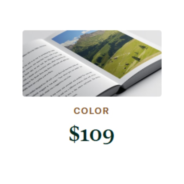 Storyworth Color Plan Reviews