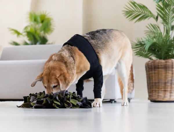 Suitical Recovery Double Sleeve Dog Avis
