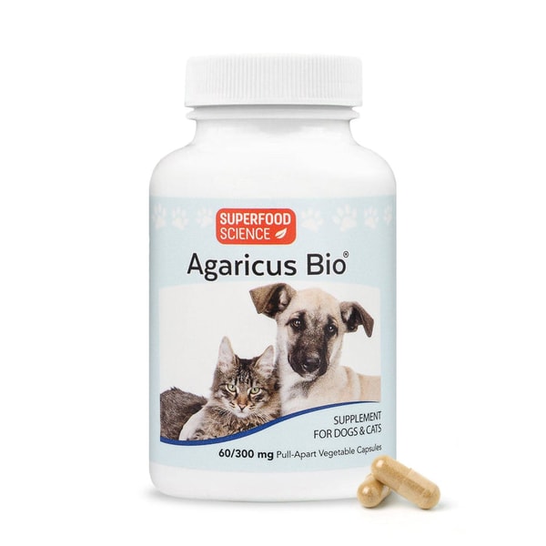 Superfood Science Agaricus Bio Immune Support Review