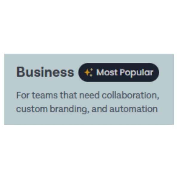 SurveySparrow Business Plan Review