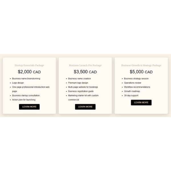 Susie H Startup Essentials Package Review