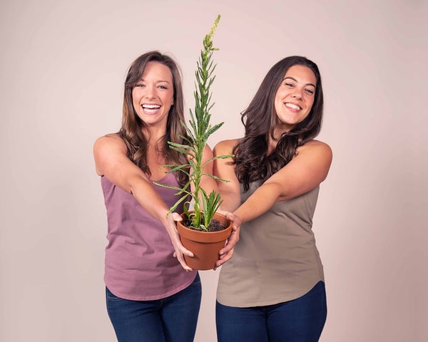 Sustain by Kat Review