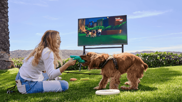 Sylvox Tv Review