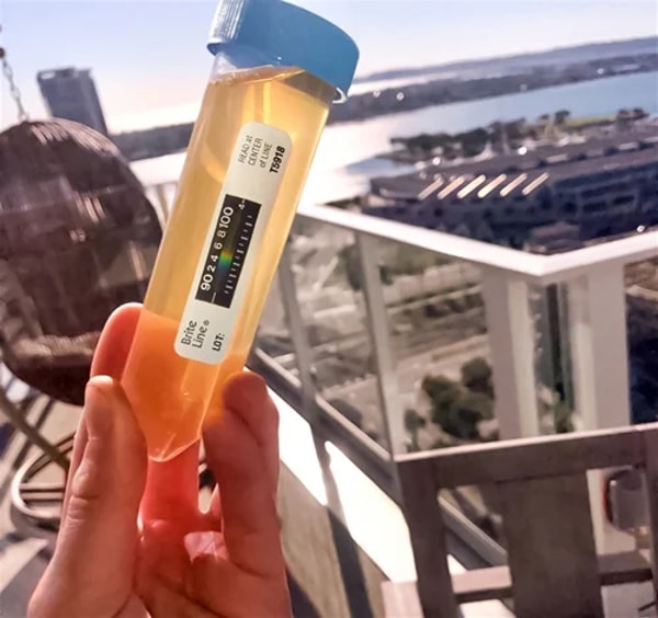 Testclear Powdered Urine Kit Review