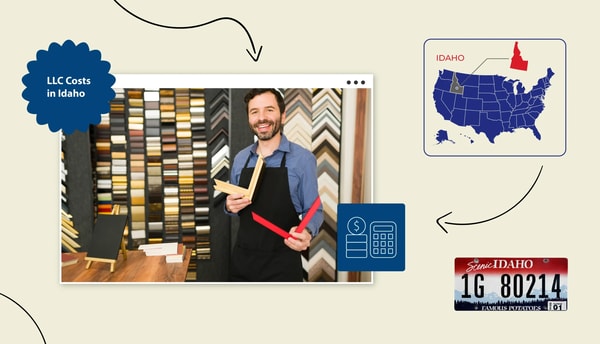 Tailor Brands Lite Review