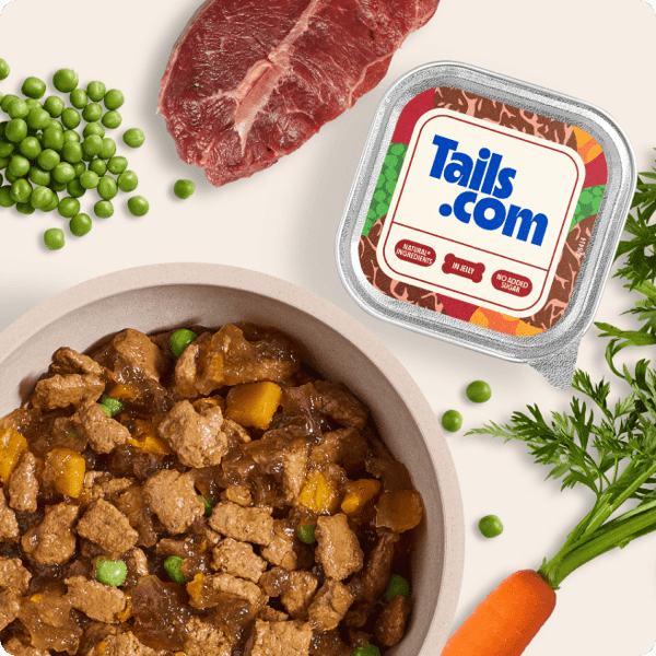 Tails.com Wet Food Review