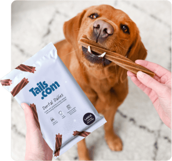 Tails.com Dental Chews Review