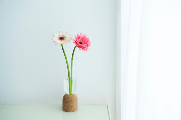 TasuHana +live for flowers レビュー